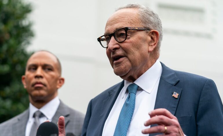 Schumer Highlights Rift Between Trump and GOP on Health Subsidies