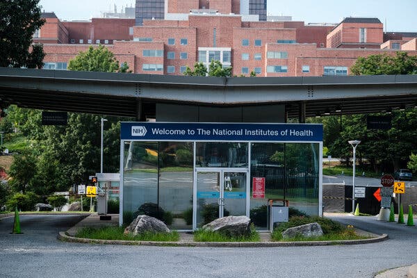 Scientists Allege Vaccine Hostility in NIH Whistle-Blower Complaints