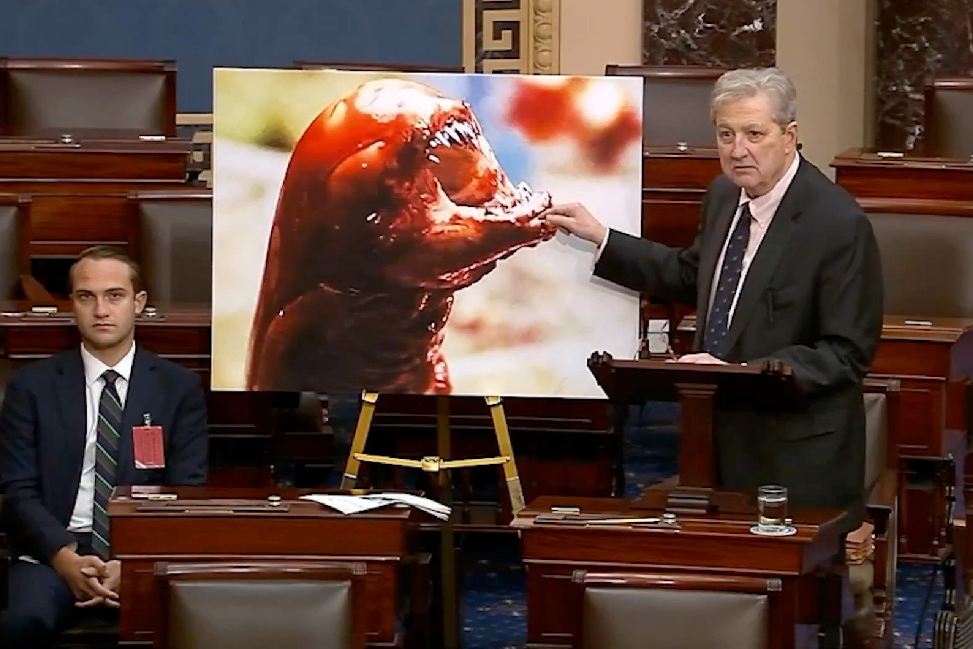 Senator’s Alarming Claims on Radioactive Shrimp Spark Outrage