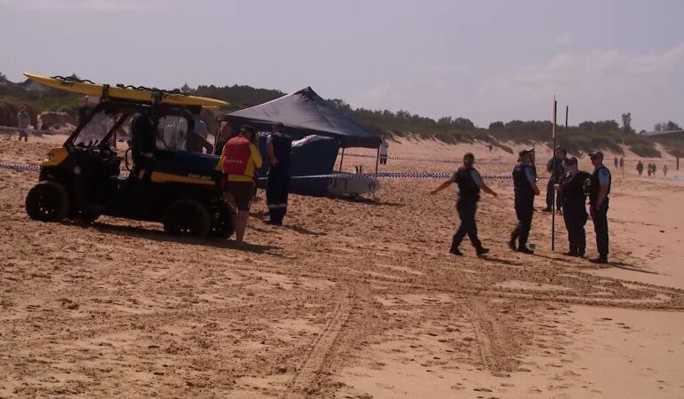 Shark Attack Claims Life in Sydney; Urgent Hunt Underway