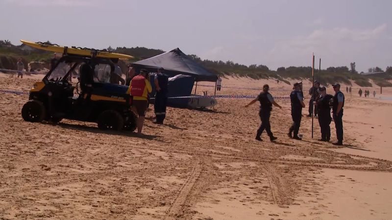 Shark Attack Claims Life in Sydney; Urgent Hunt Underway