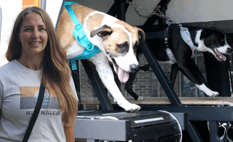 South Milwaukee Entrepreneur Launches Unique Mobile Dog Gym