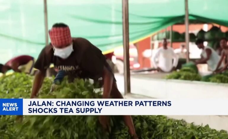 Storm Disrupts India’s Tea Gardens, Threatens Global Prices