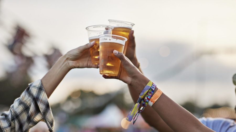 Study Reveals Beer Drinkers Attract More Mosquitoes