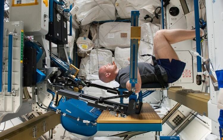 Study Uncovers Microgravity’s Effects on Age-Related Muscle Loss