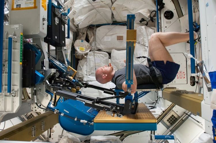 Study Uncovers Microgravity’s Effects on Age-Related Muscle Loss