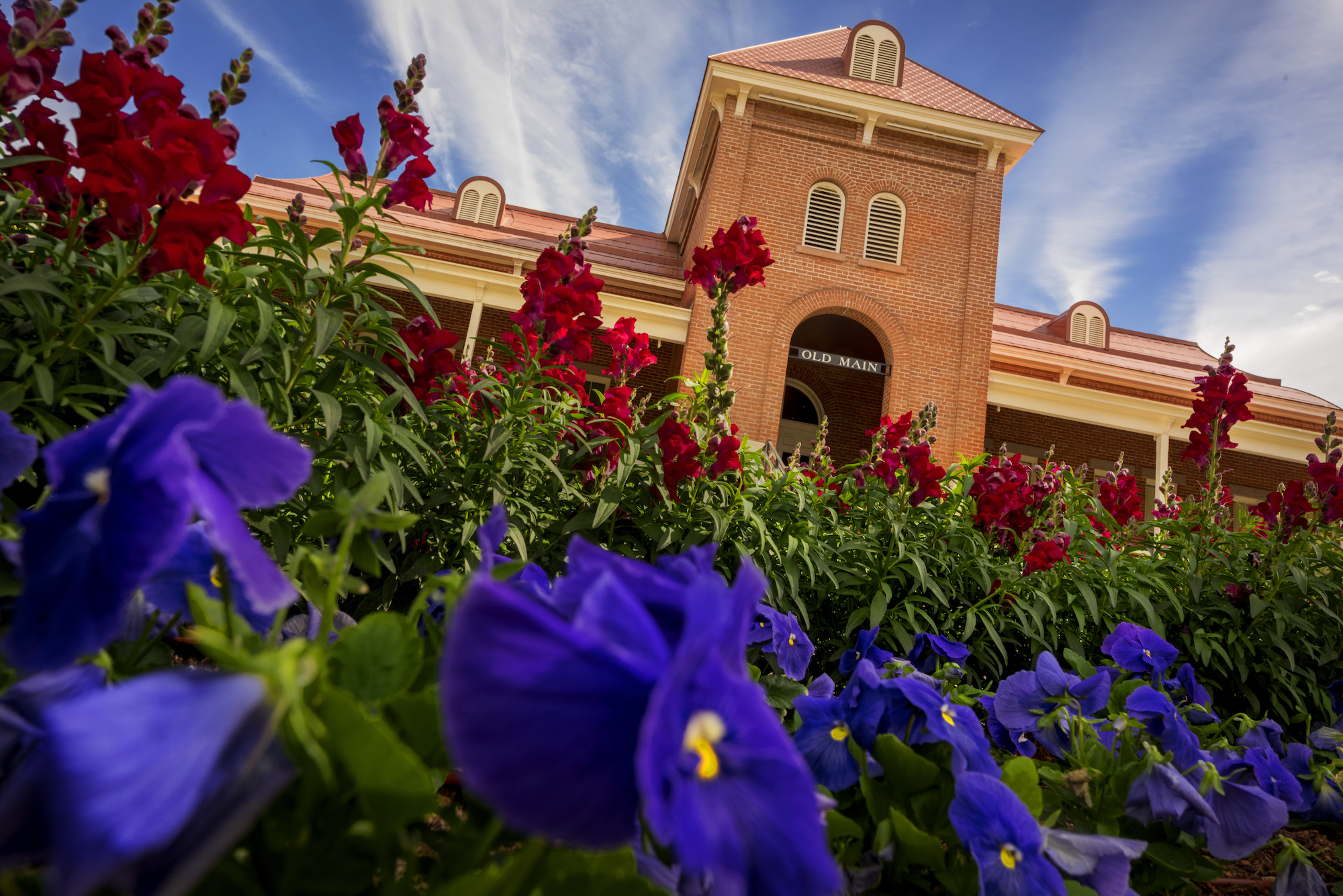 University of Arizona Earns Seal for Supporting Latino Students
