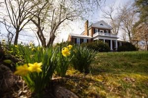 University of Virginia Considers Historic Oak Lawn Transfer to Schools