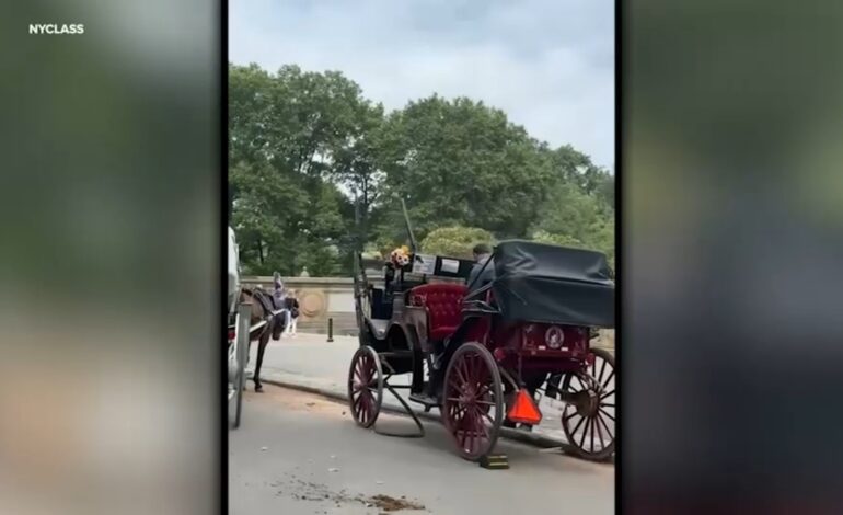 Urgent: Spooked Carriage Horse Bolts Through Central Park