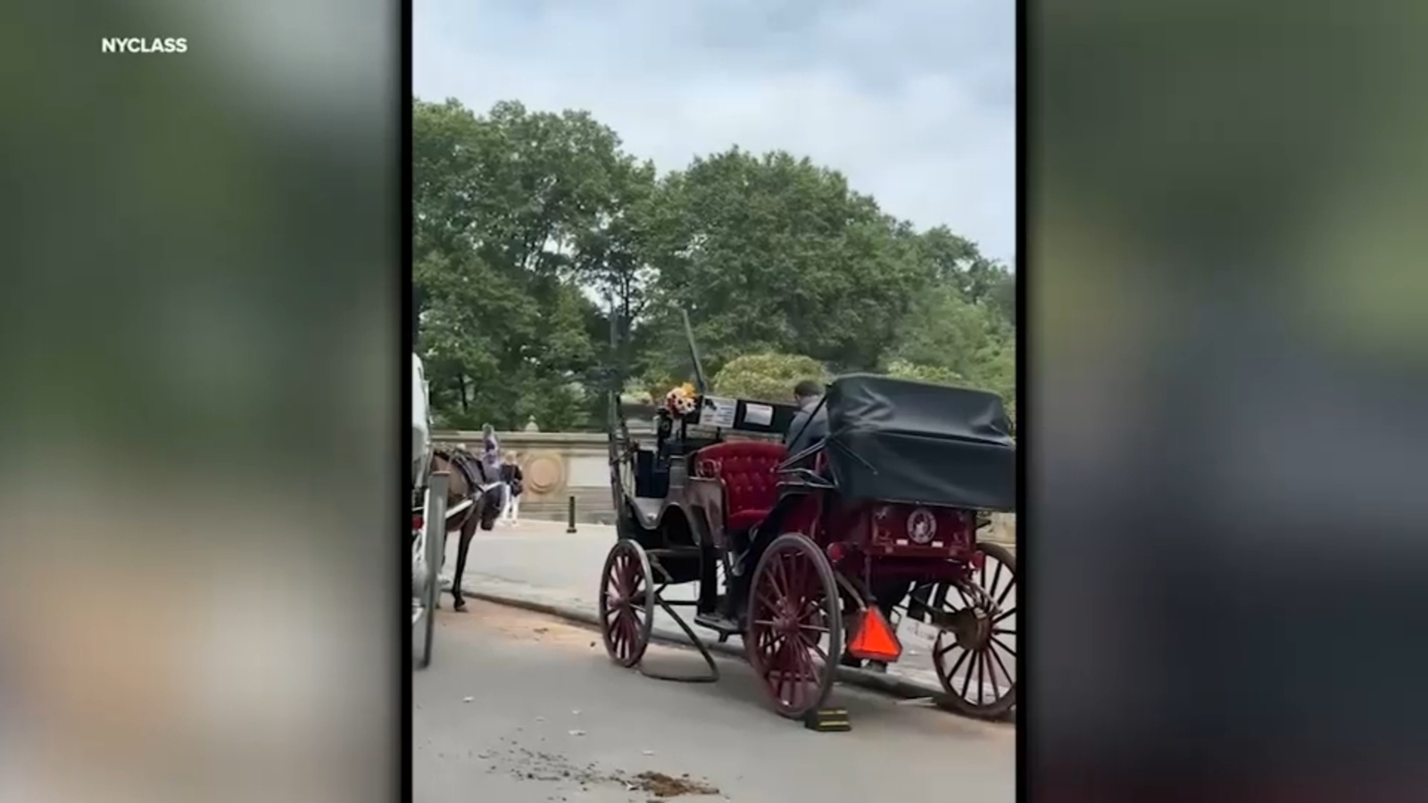 Urgent: Spooked Carriage Horse Bolts Through Central Park