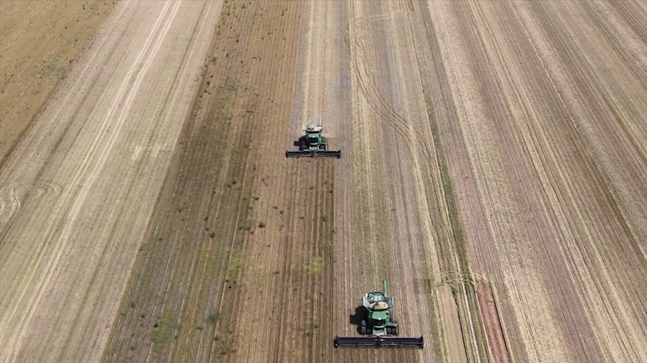 US Farmers Face Financial Crisis as Costs Soar and Prices Plummet
