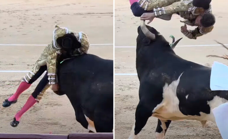Veteran Matador Gored in Shocking Madrid Bullfight Incident