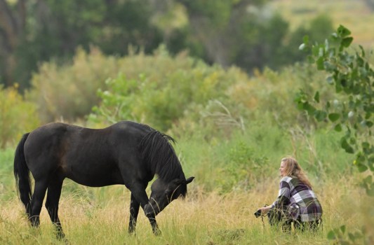 Woman Fights to Rescue Abandoned Wild Horse in Colorado