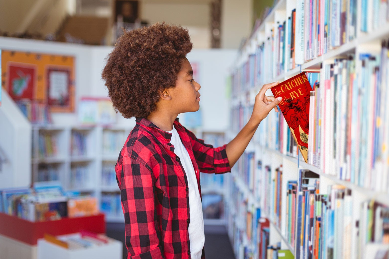 Advocates Urge for Whole Text Reading in Education Reform