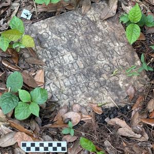 Ancient Roman Artifact Discovered in New Orleans Backyard