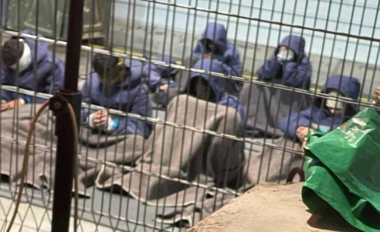 At Least 135 Bodies Returned to Gaza Spark Torture Allegations