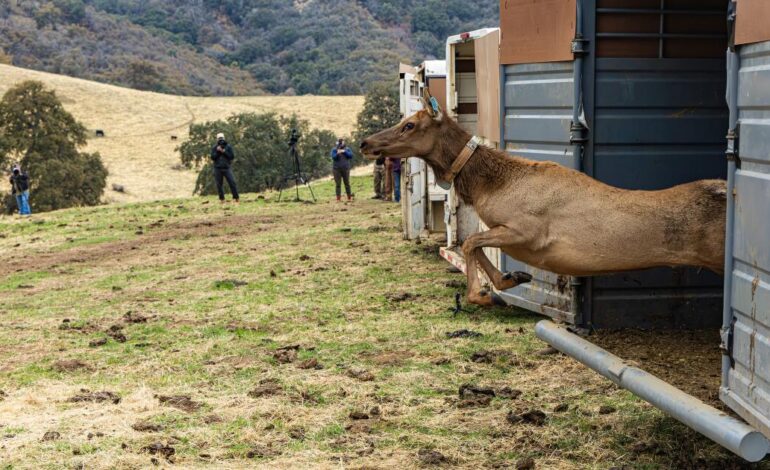 California Returns 17,000 Acres of Ancestral Land to Tule River Tribe