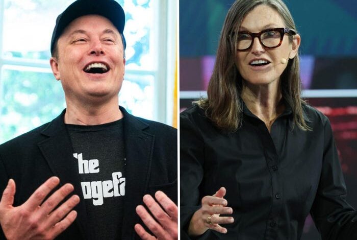 Cathie Wood Predicts Elon Musk’s $1 Trillion Pay Deal Will Pass