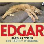 Charles City Library Launches Urgent Pet Election for Mayor