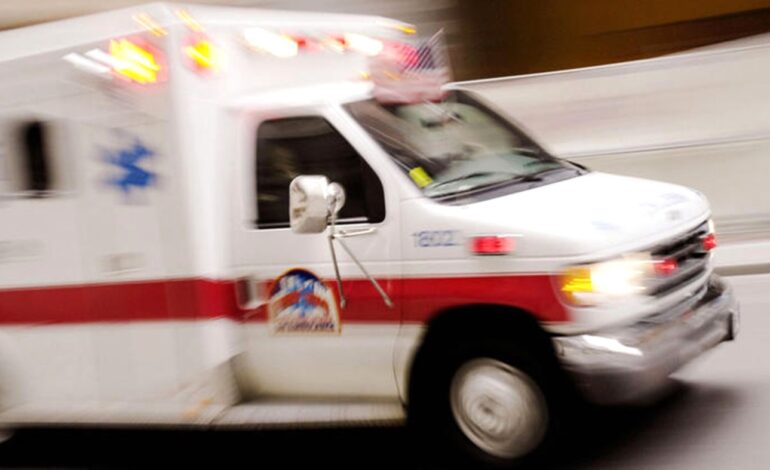 Chester County Woman Dies After Tree Falls at Local Park