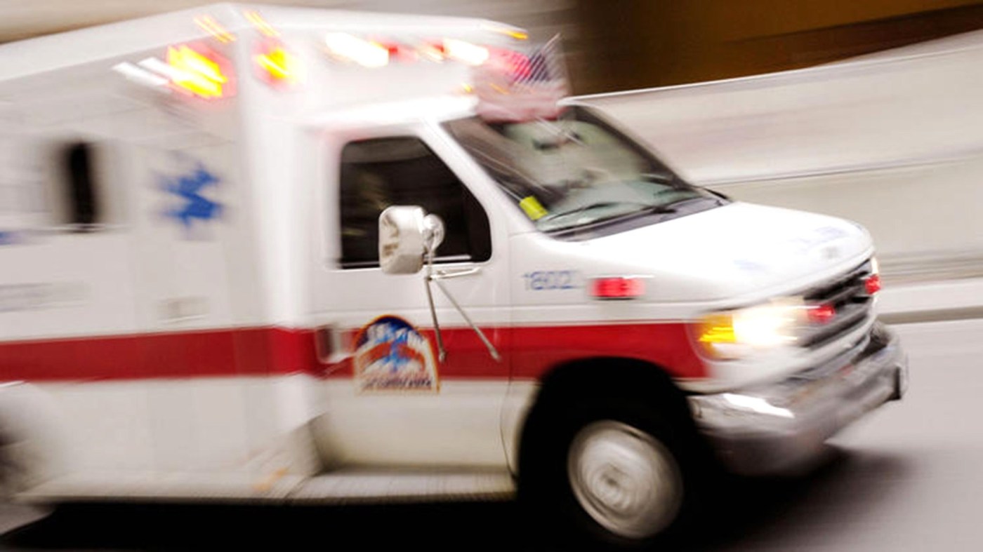 Chester County Woman Dies After Tree Falls at Local Park