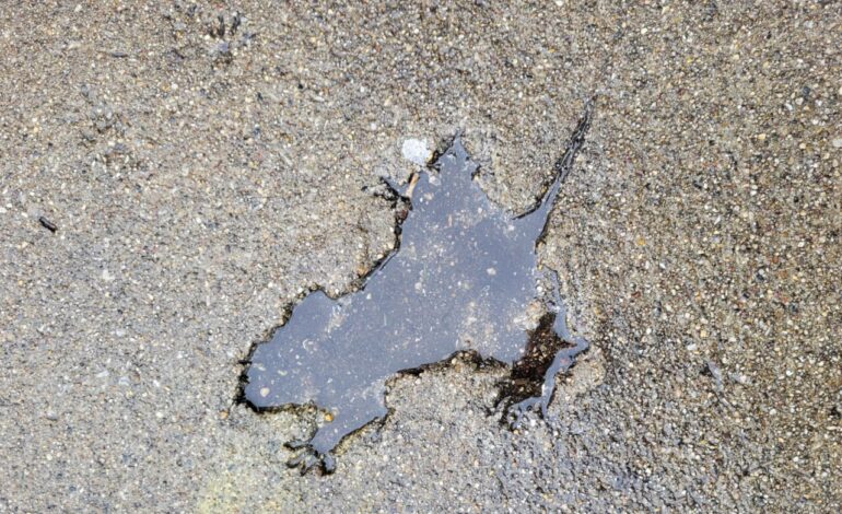 Chicago’s Iconic “Rat Hole” Revealed as a Squirrel Impression