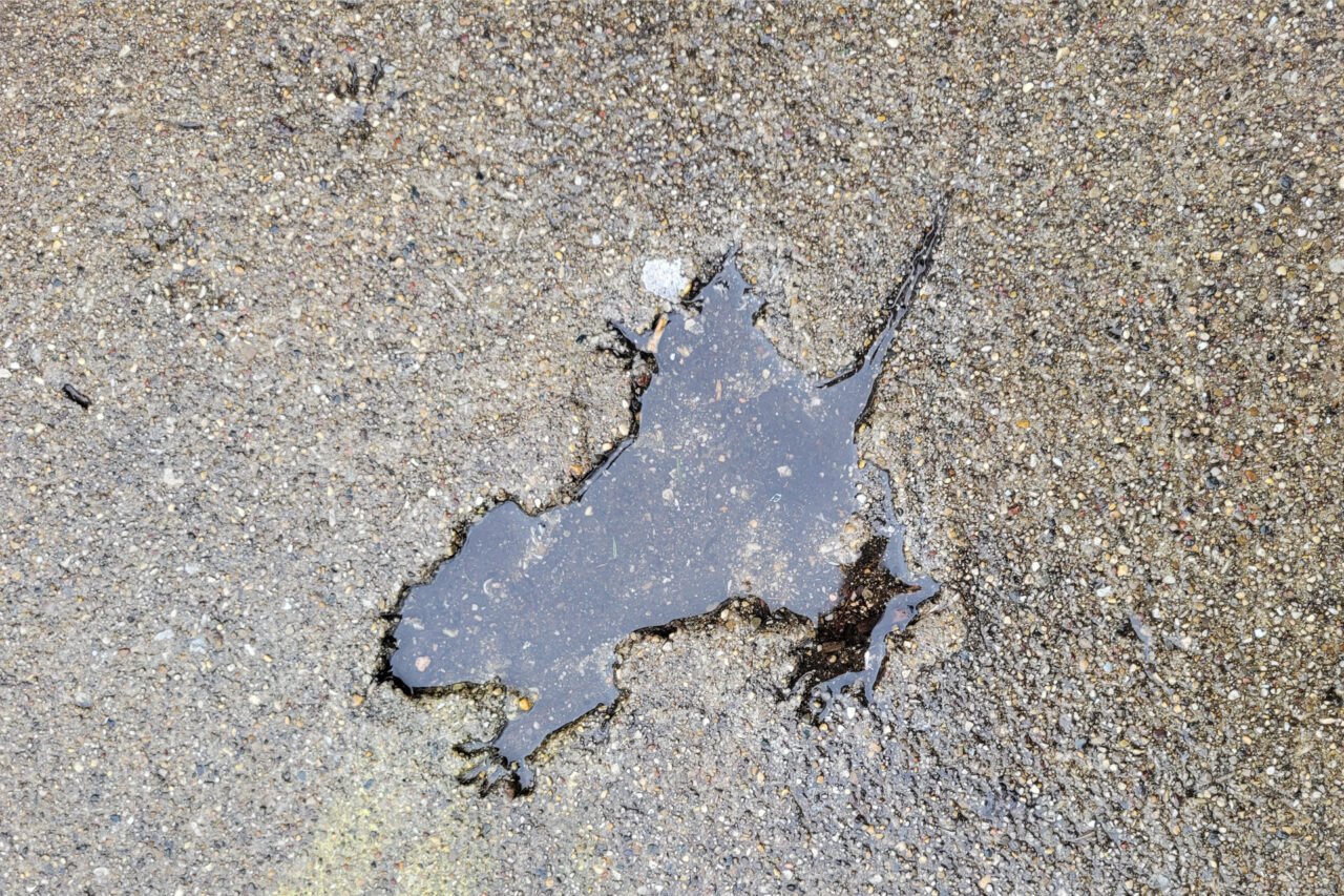 Chicago’s Iconic “Rat Hole” Revealed as a Squirrel Impression