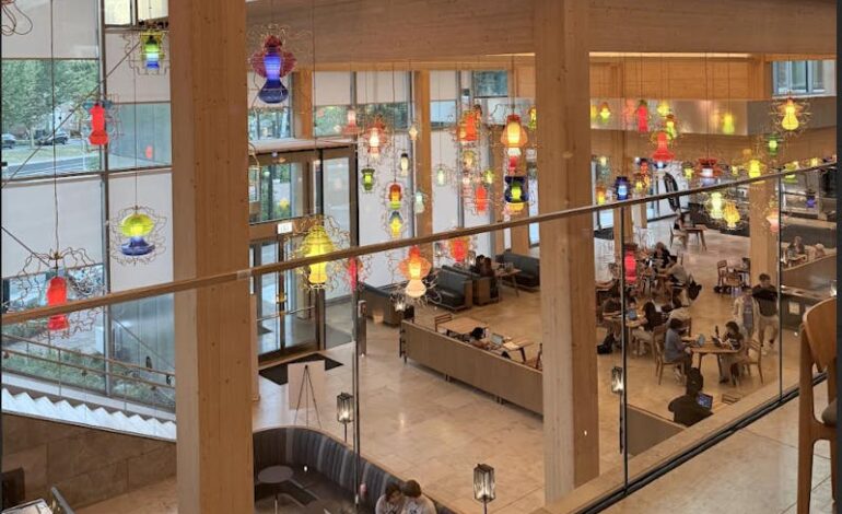 College Freshman Discovers the Value of Solitude and Reflection