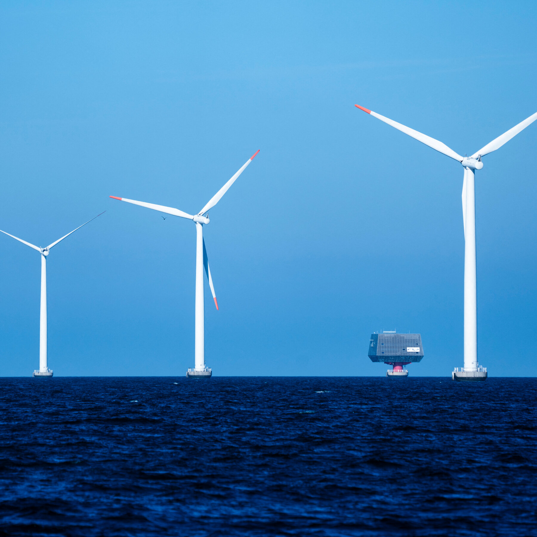 Denmark’s Wind Energy Industry Faces Challenges Under Trump Policies
