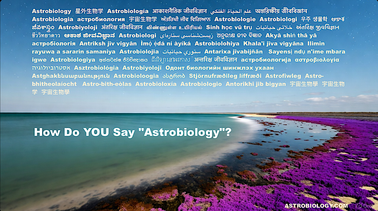 Discover How “Astrobiology” Translates Across 100 Languages