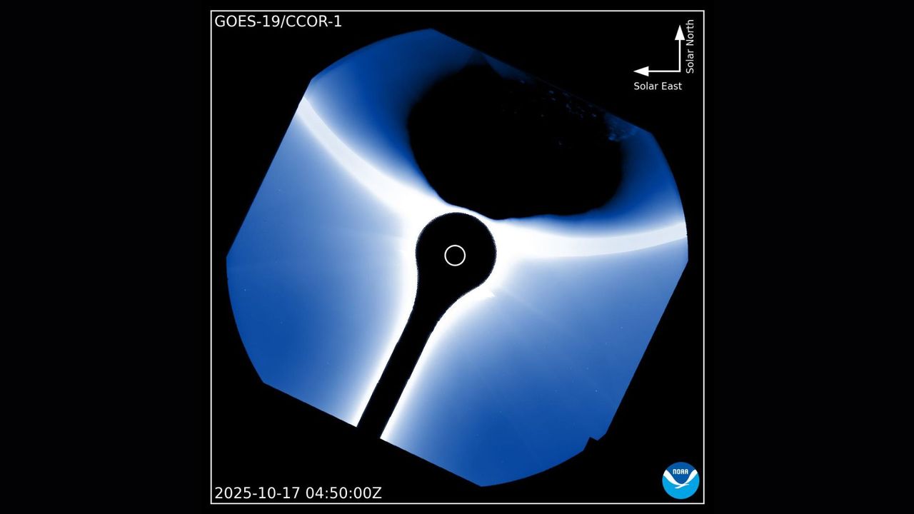 Earth Unexpectedly Appears in Stunning Satellite Image of the Sun