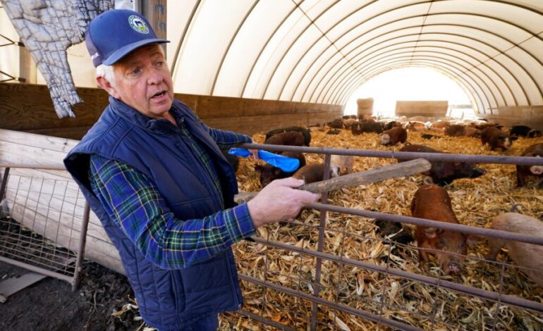 Farmers Stand Firm Against Big Pork’s Challenge to Proposition 12
