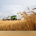 Iowa’s Horticulture Industry Booms: 2023 Survey Results Announced