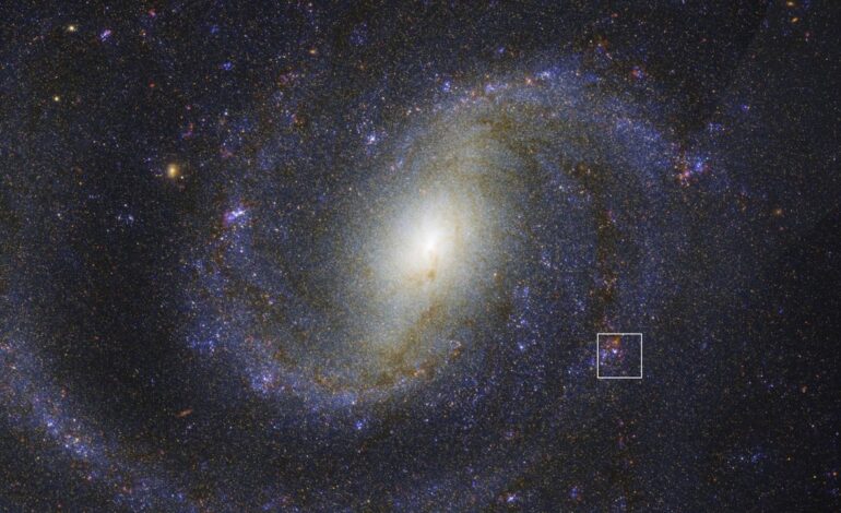 James Webb Space Telescope Unveils Hidden Supernova Star