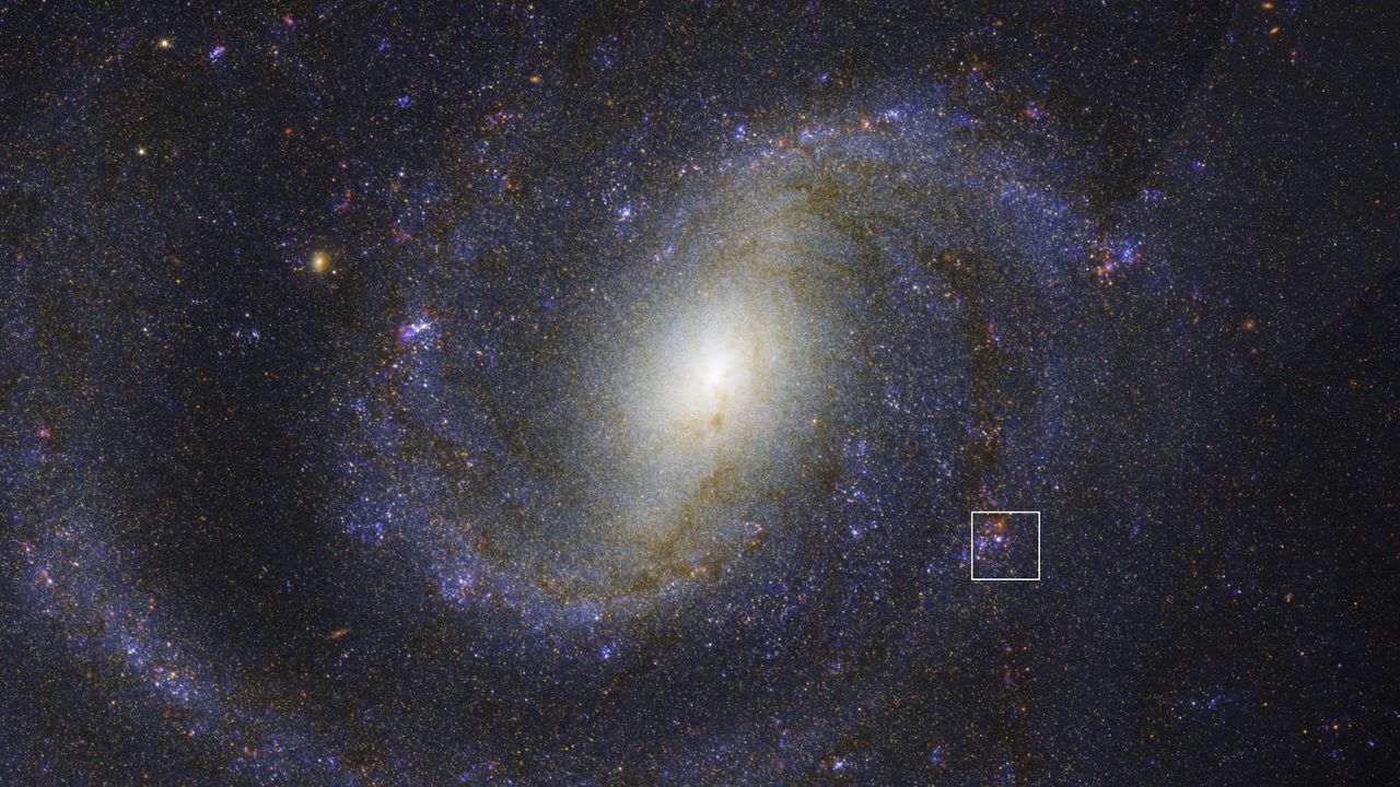 James Webb Space Telescope Unveils Hidden Supernova Star