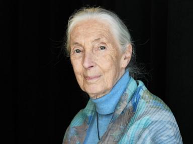 Jane Goodall, Iconic Conservationist, Dies at 91 in California