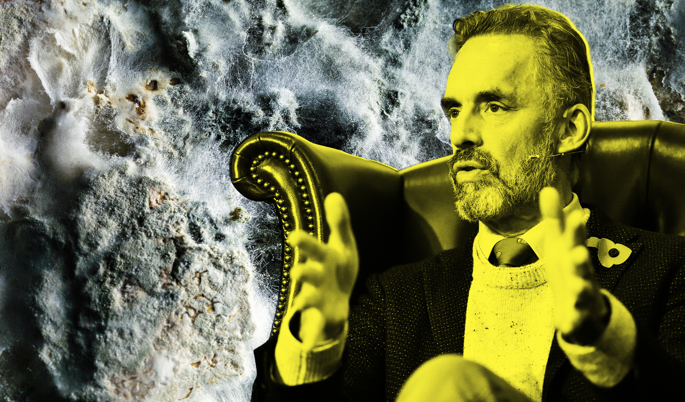 Jordan Peterson Hospitalized for Serious Health Issues, Daughter Reports