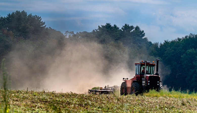 Maine’s Drought Fuels Rising Allergies: Urgent Health Alert