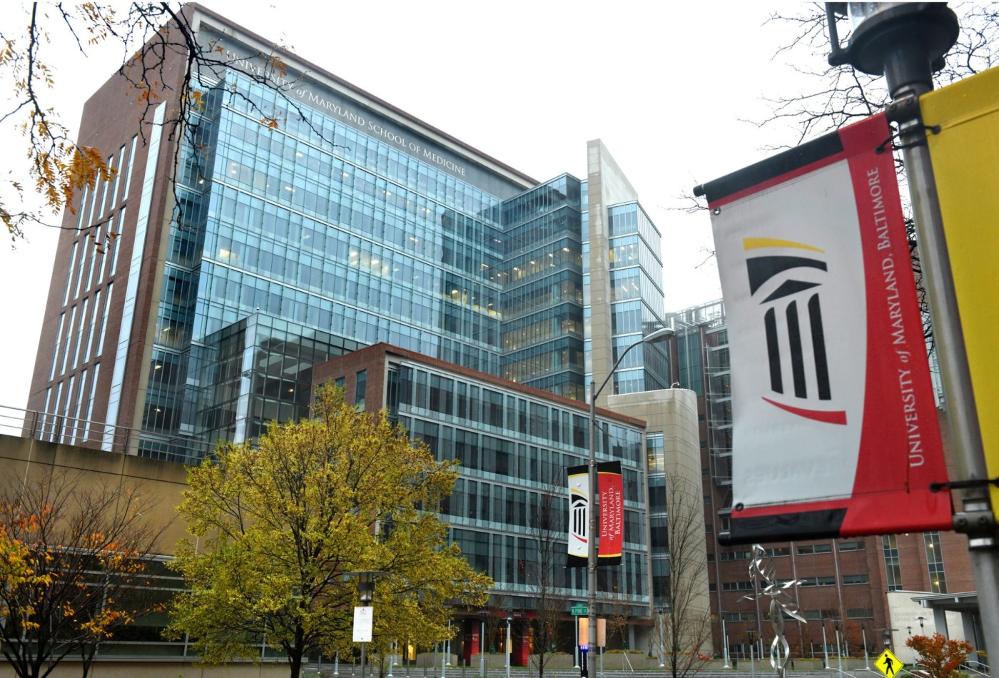 Maryland Universities Face Funding Crisis as Federal Grants Decline