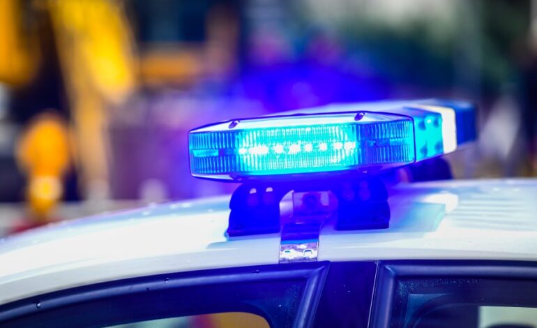 Motorcyclist Killed in I-805 Crash Involving Palm Tree