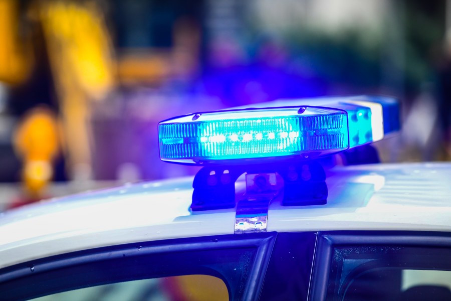 Motorcyclist Killed in I-805 Crash Involving Palm Tree