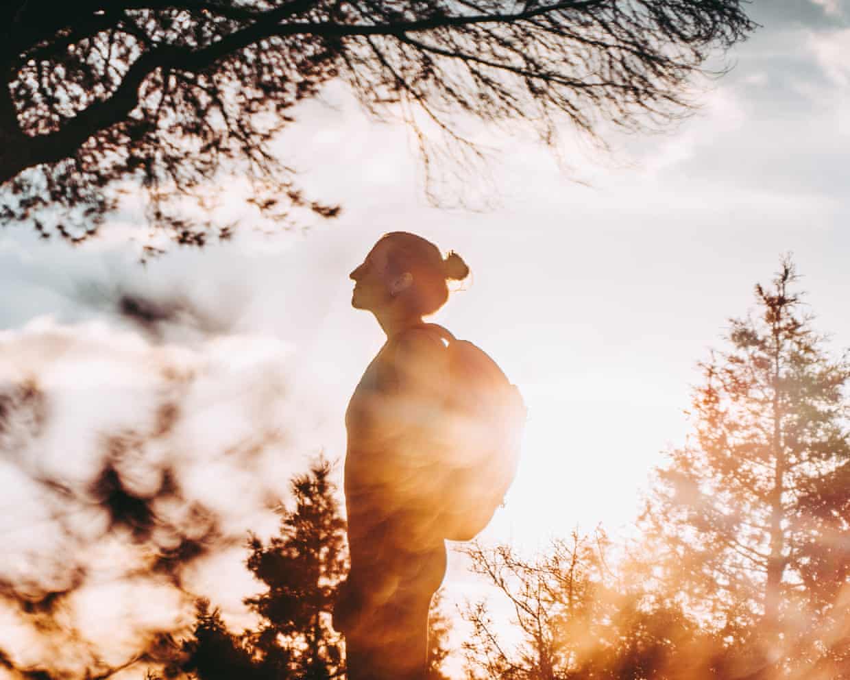 Nature’s Crisis Reflects Human Microbiome Decline, Experts Warn