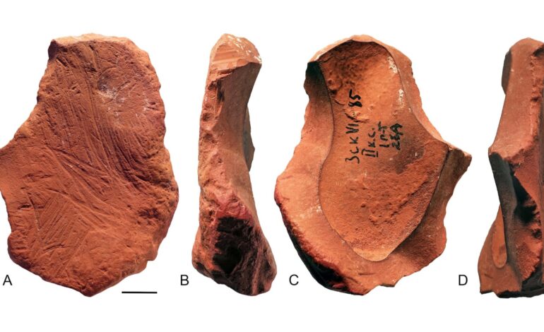 Neanderthals Crafted Pigment Tools for Artistic Expression