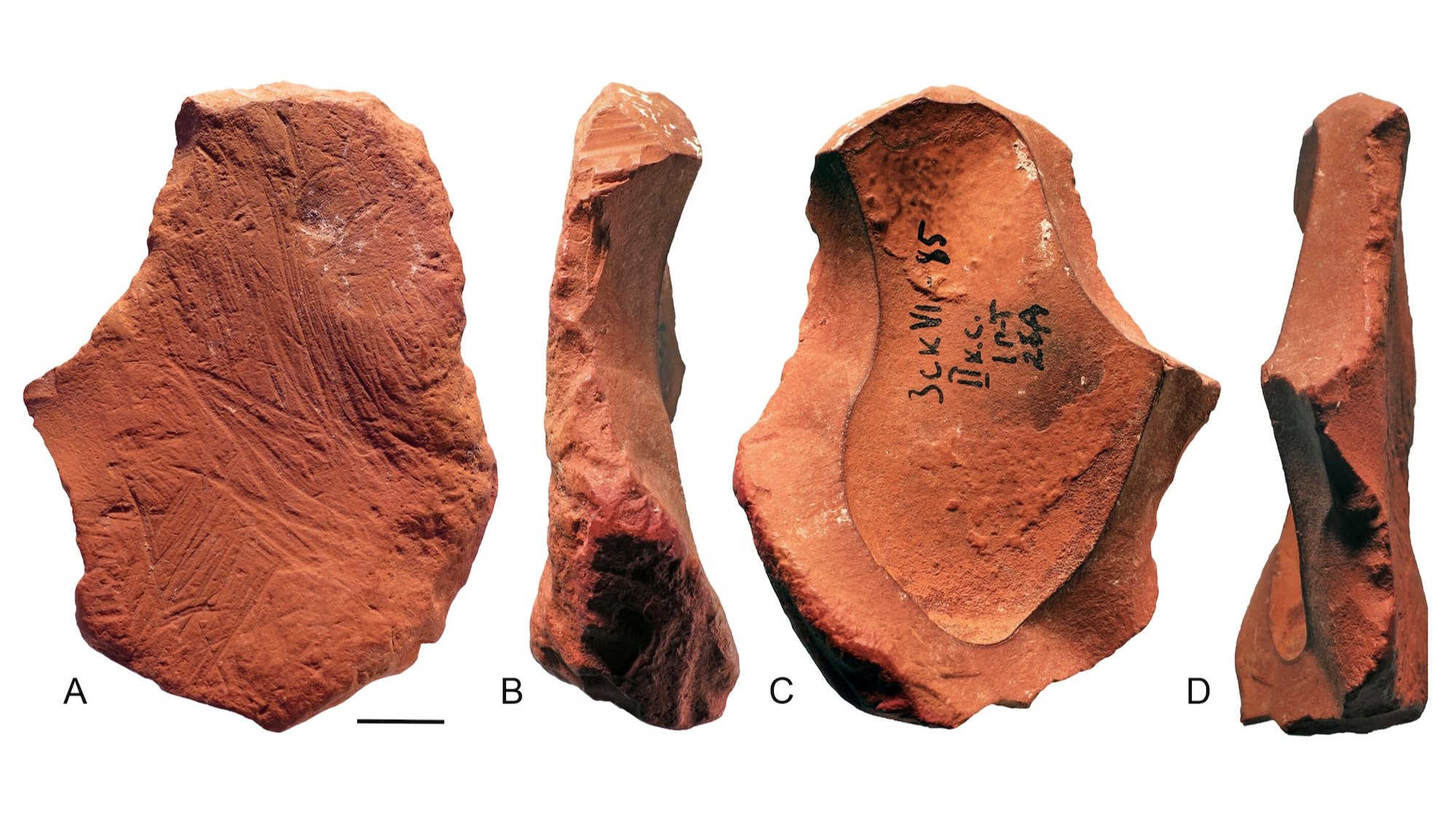 Neanderthals Crafted Pigment Tools for Artistic Expression