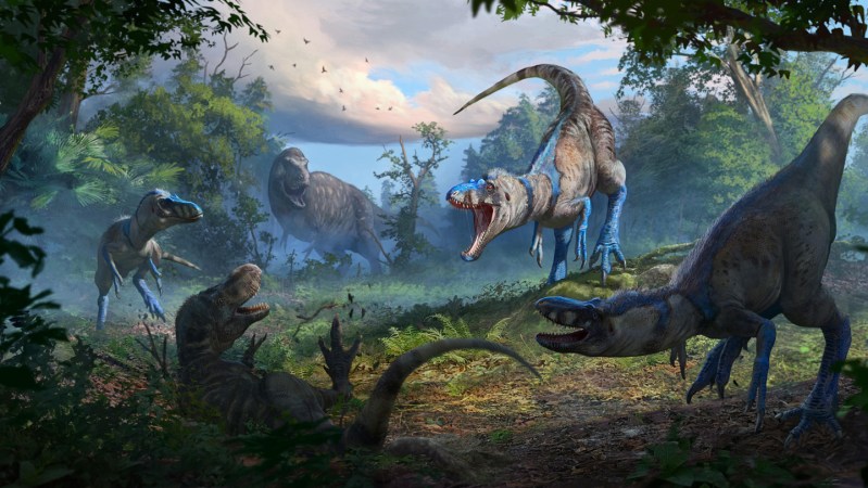 New Analysis Reveals Nanotyrannus as Distinct Dinosaur Species