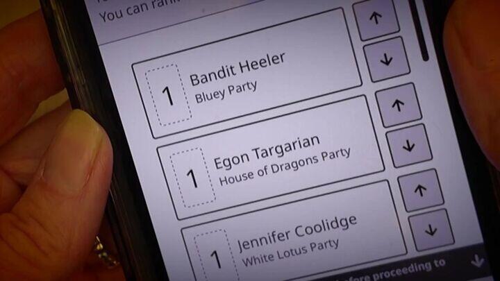 New York Entrepreneur Bets $20M on Smartphone Voting Technology