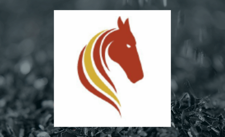 Pasofino Gold Shares Decline 3.4% Amid Increased Trading Activity