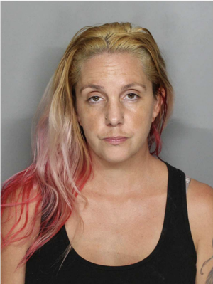 Port Charlotte Woman Arrested for Alleged ‘Fight Club’ for Minors