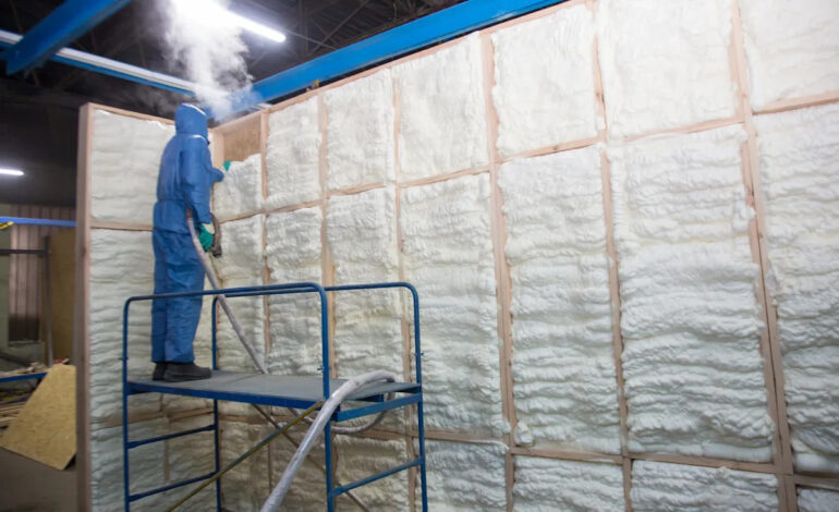 Scientists Innovate Eco-Friendly Insulation Using Mushroom Mycelium