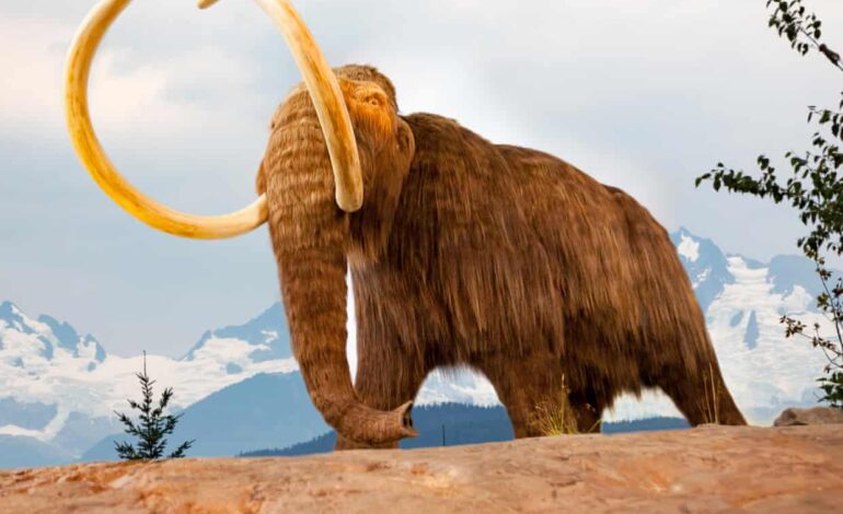 Scientists Uncover Ancient Life Through Innovative DNA Techniques